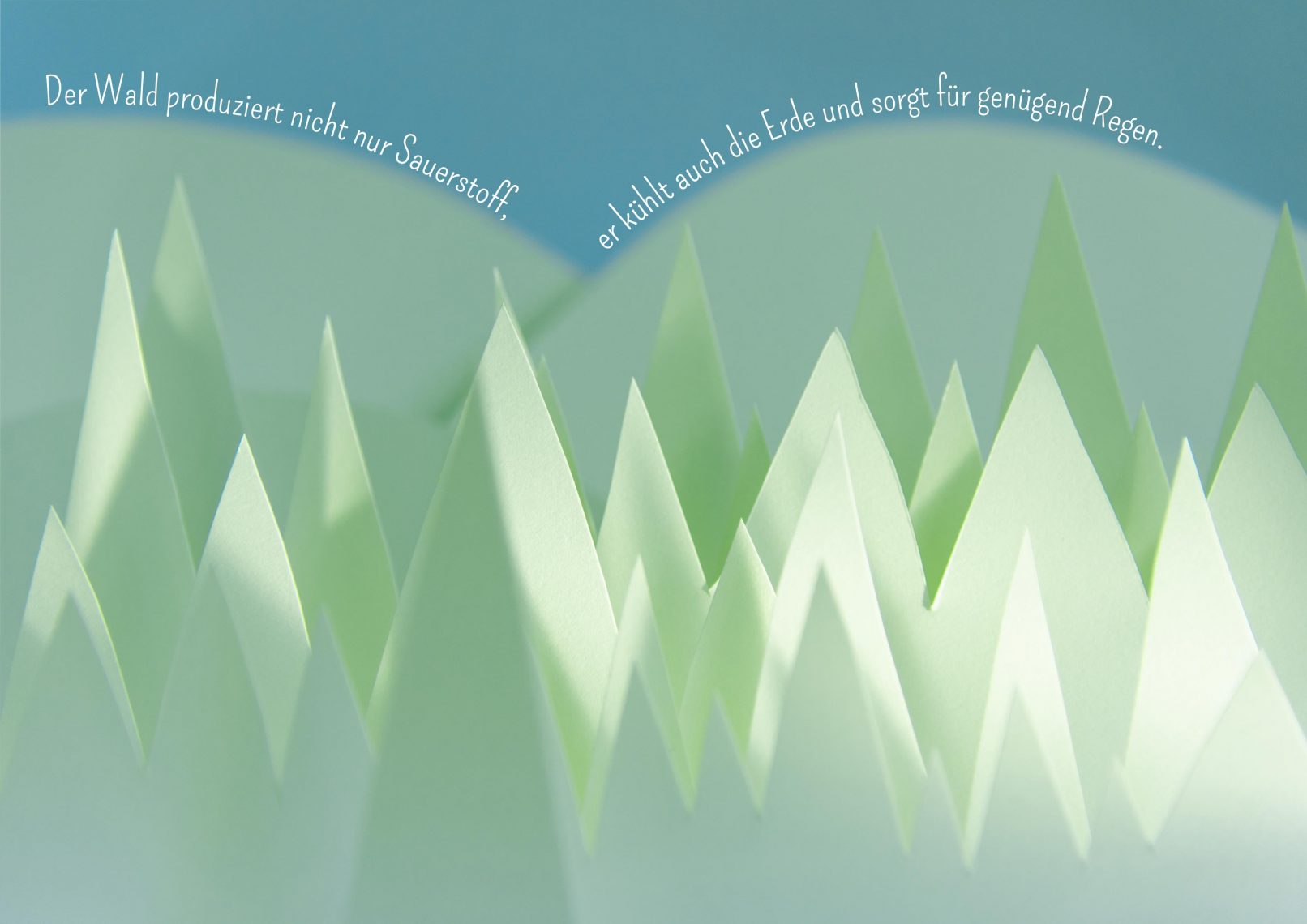 waldsterben paperart