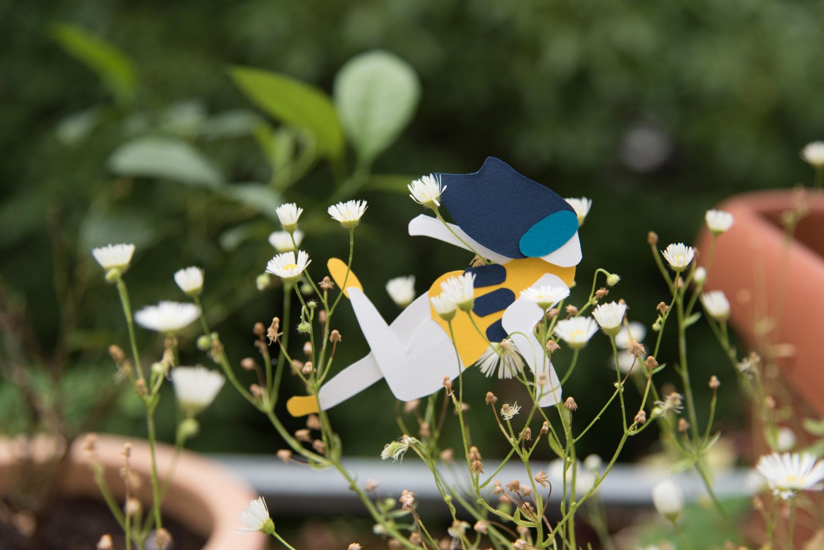 making of sport & DNA